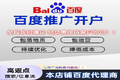 百度竞价包年策略：成功案例解析与经验分享